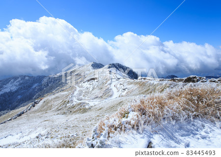 合歡山下雪 83445493