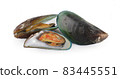 mussels isolated on white background 83445551