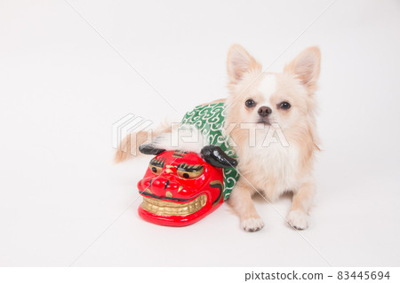 Small lion dance figurine and cream-colored long coat Chihuahua Small lion dance figurine and cream-colored long coat Chihuahua 83445694