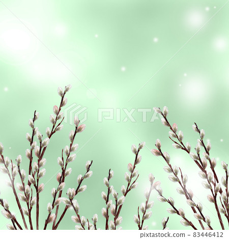 Watercolor pussy willow illustration green background Watercolor pussy willow illustration green background 83446412