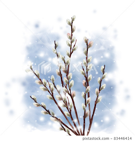 Watercolor pussy willow and snow Watercolor pussy willow and snow 83446414