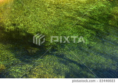 The murmuring of green 83446683