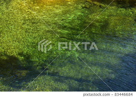 綠色的喃喃自語 83446684