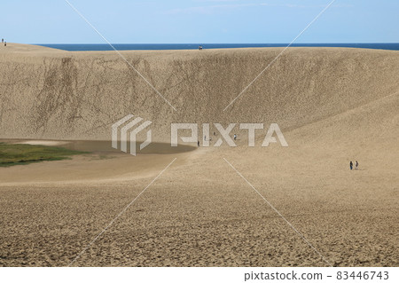Tottori sand dunes Tottori sand dunes 83446743