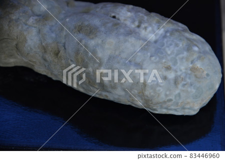Moldy French bread Moldy French bread 83446960