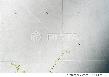 未完成的混凝土和植物背景材料/紋理 83447402