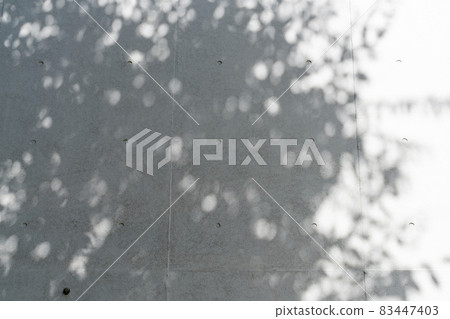未完成的混凝土和植物背景材料/紋理 83447403