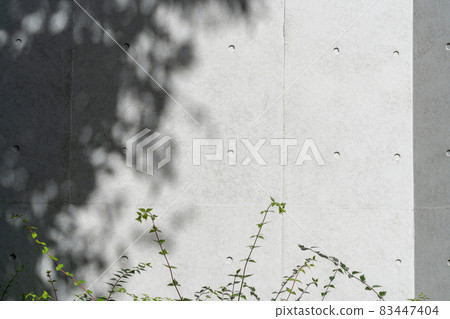 未完成的混凝土和植物背景材料/紋理 83447404