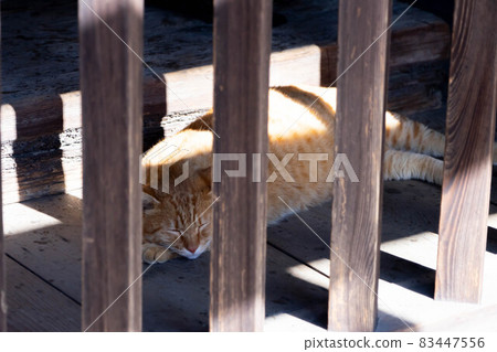 Yongsan-ji Yongsan-ji 83447556