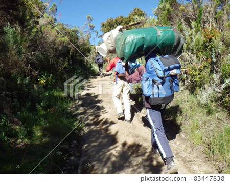 Kilimanjaro mountain climbing Tanzania Kilimanjaro mountain climbing Tanzania 83447838