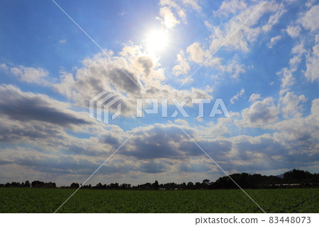秋天的藍天太陽雲場 秋天的藍天太陽雲場 83448073