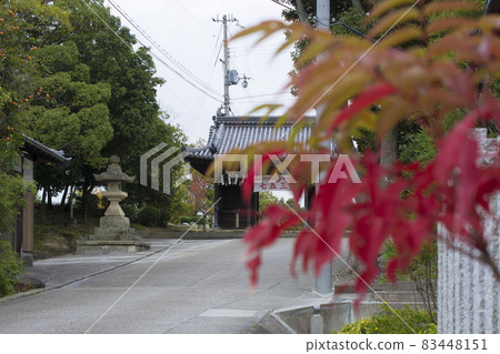 Hioka Shrine, Shichigosan period (Kakogawa City, Hyogo Prefecture) Hioka Shrine, Shichigosan period (Kakogawa City, Hyogo Prefecture) 83448151