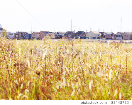 閃亮的貓狗 83448723