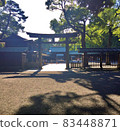 明治神宮、鳥居、自然 83448871