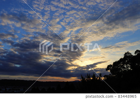 秋天的藍天覆蓋著夕陽的樹木 秋天的藍天覆蓋著夕陽的樹木 83448965