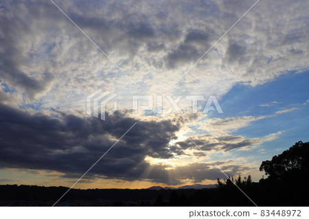 秋天的藍天覆蓋著夕陽的樹木 秋天的藍天覆蓋著夕陽的樹木 83448972