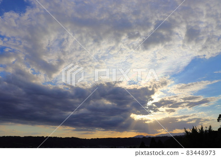 秋天的藍天覆蓋著夕陽的樹木 秋天的藍天覆蓋著夕陽的樹木 83448973