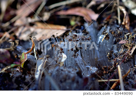 冷做的針冰 83449090