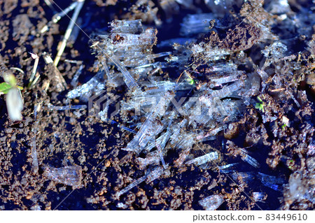 Needle ice made of cold 83449610