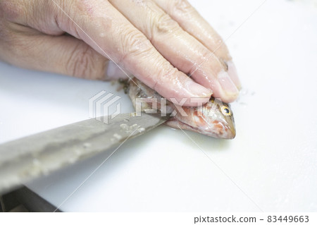 廚師處理魚的圖像 83449663