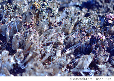 Needle ice made of cold 83449846