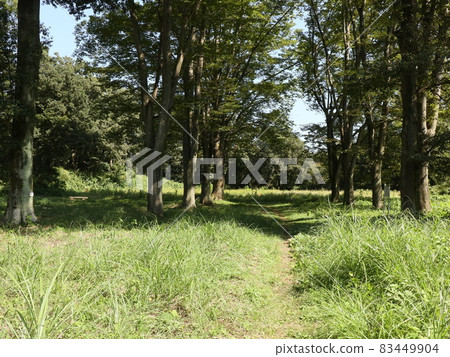 菅谷館遺跡(Hiki) 菅谷館遺跡(Hiki) 83449904