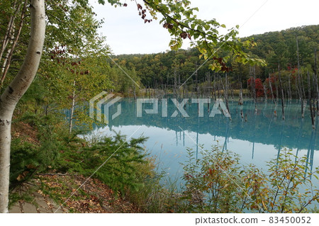 Biei Shirokane Aoi Pond Biei Shirokane Aoi Pond 83450052