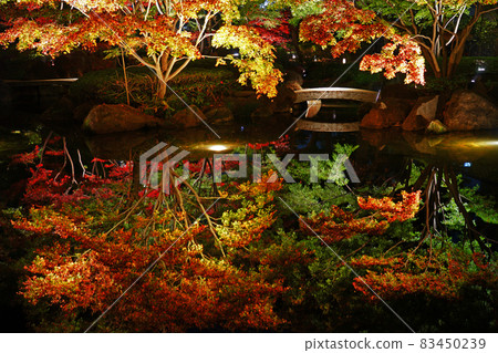 東京杉並區小田郎公園的倒影 83450239