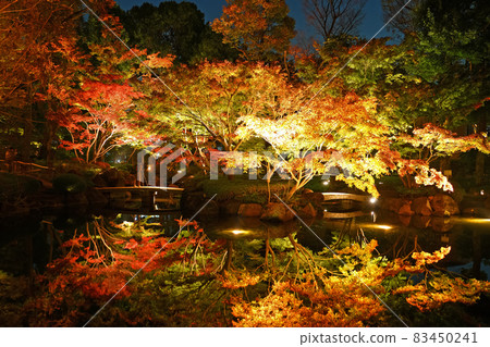 東京杉並區小田郎公園的秋葉倒影 83450241