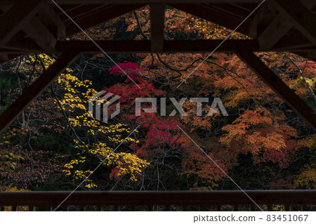 Autumn at Yagen Onsen 83451067