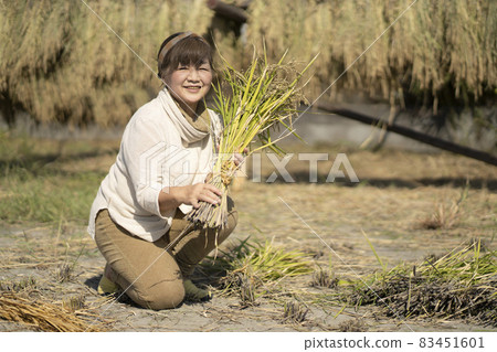 Woman drying rice Woman drying rice 83451601