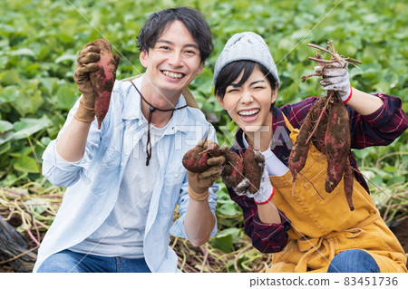 挖紅薯的年輕男女 83451736