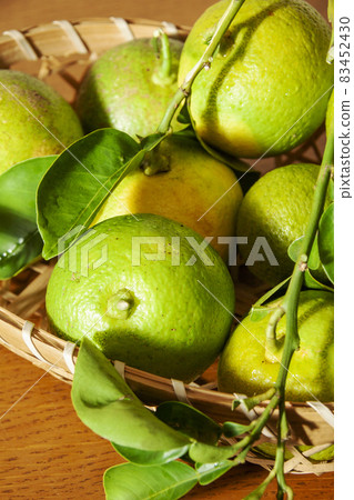 Kabosu 與分支 83452430