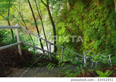 樓梯下到 Watagataki（手取峽谷）白山手取川地質公園 83452951