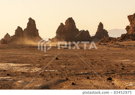 Herd of farm sheep in between Lac Abbe chimneys 83452975
