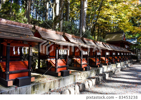 Autumn Mitsumine Shrine_Chichibu Tourism_Setsumatsusha 83453238