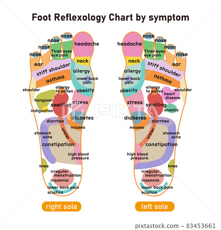足底反射區及穴位按症狀圖示 英文版 插圖素材 圖庫