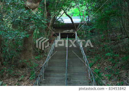 【四國88個地方】香川縣三豐市第70代Ichiban Fudasho，矢谷寺，綠色的石階和山門 83453842