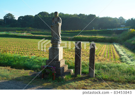 [四國88寺]香川縣水豐市大光寺前站在朝陽和收穫的稻田背景下的朝聖路線A地藏 83453843