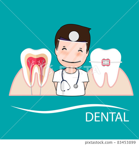 Dentist and Human teeth. Dental care background. Vector illustration Dentist and Human teeth. Dental care background. Vector illustration 83453899