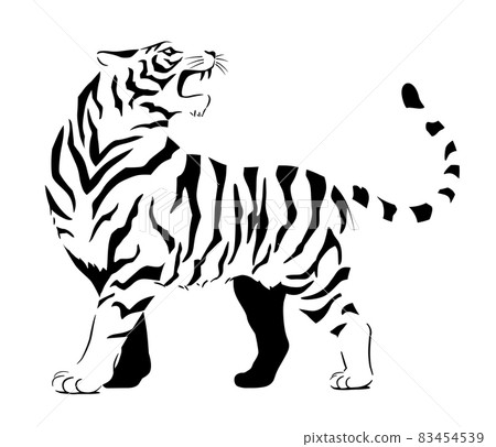 Tiger illustration monochrome tiger year 83454539