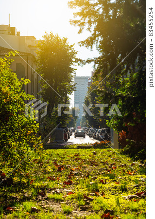 Narrow city street with yellow green trees and many cars parked on the roadside. Sunny autumn day.. Narrow city street with yellow green trees and many cars parked on the roadside. Sunny autumn day.. 83455254