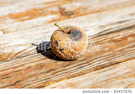 Rotten apple lie on a wooden table Rotten apple lie on a wooden table 83457076