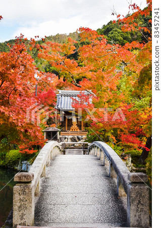 永觀堂的紅葉_京都秋季觀光_后城池和弁財天 永觀堂的紅葉_京都秋季觀光_后城池和弁財天 83457241
