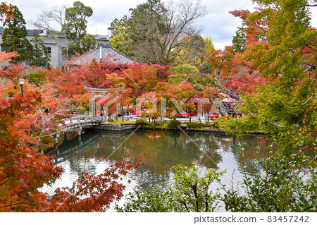 Eikan-do's Autumn Leaves_Autumn Kyoto Sightseeing_Houjou Pond and Garden Eikan-do's Autumn Leaves_Autumn Kyoto Sightseeing_Houjou Pond and Garden 83457242
