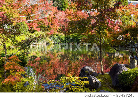 Autumn leaves of Eikando_Autumn sightseeing in Kyoto_Houjou Pond and Tahoto Autumn leaves of Eikando_Autumn sightseeing in Kyoto_Houjou Pond and Tahoto 83457243