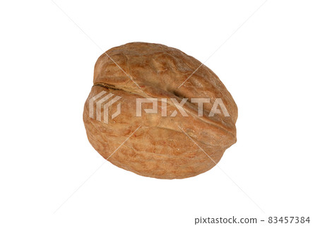 Walnut in its shell which have proven health benefits cut out and isolated 83457384