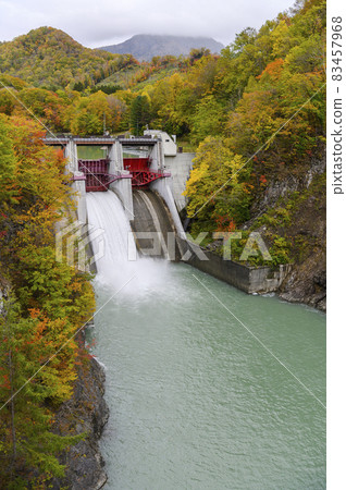 盛開的沙魯河谷岩知水壩的紅葉（北海道日高） 83457968