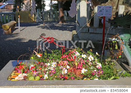 Hand water flower (Nishimiya Hachimangu) Hand water flower (Nishimiya Hachimangu) 83458004