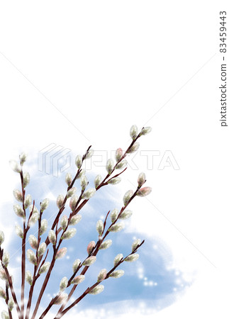 Watercolor pussy willow and snow postcard size Watercolor pussy willow and snow postcard size 83459443